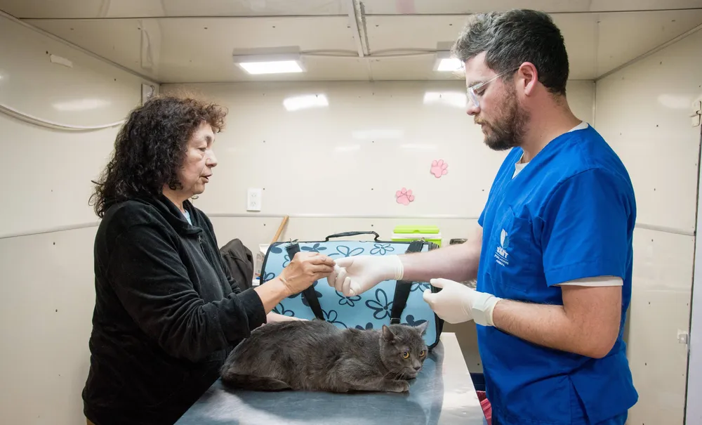 multimedia.grande.b2c418135eddac84.Z3JhbmRlLndlYnA=